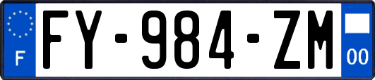 FY-984-ZM