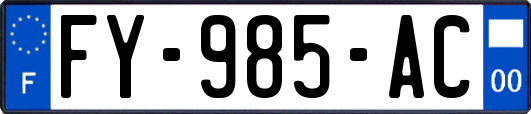 FY-985-AC