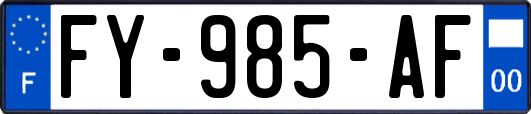 FY-985-AF