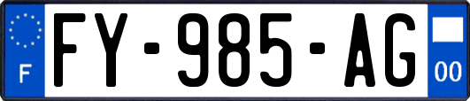 FY-985-AG