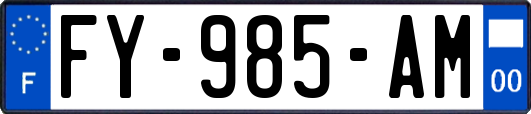 FY-985-AM