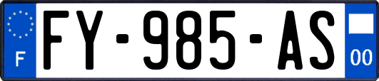 FY-985-AS