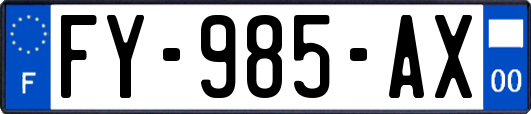 FY-985-AX
