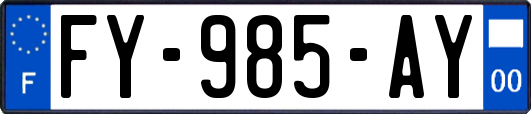 FY-985-AY