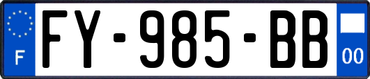 FY-985-BB