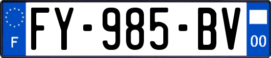 FY-985-BV