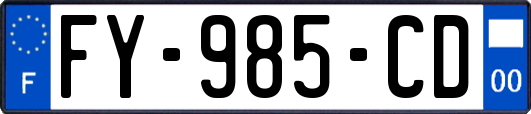 FY-985-CD