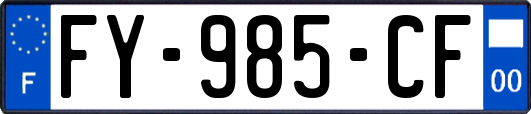 FY-985-CF