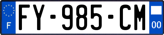 FY-985-CM