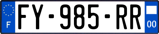 FY-985-RR
