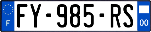 FY-985-RS