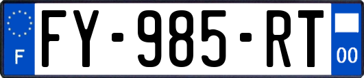 FY-985-RT