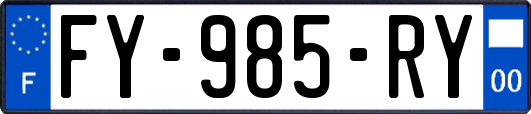 FY-985-RY