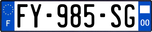 FY-985-SG