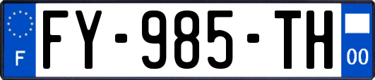 FY-985-TH