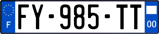 FY-985-TT
