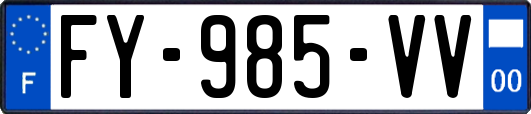 FY-985-VV