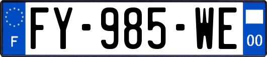 FY-985-WE