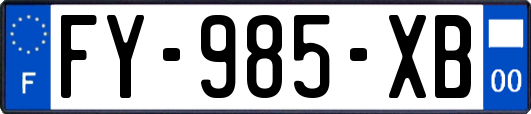 FY-985-XB