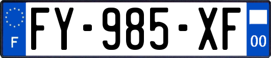 FY-985-XF