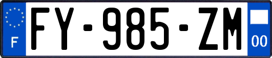 FY-985-ZM