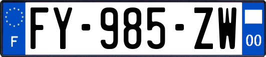 FY-985-ZW