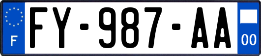 FY-987-AA