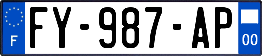 FY-987-AP