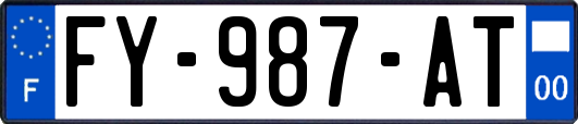FY-987-AT