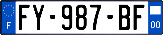 FY-987-BF