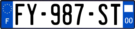 FY-987-ST