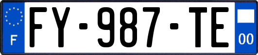 FY-987-TE