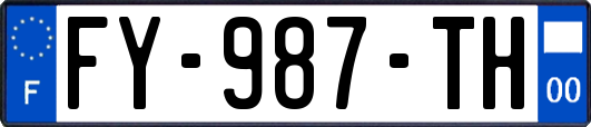 FY-987-TH