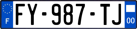 FY-987-TJ