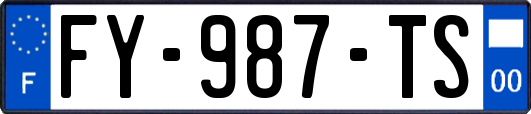FY-987-TS
