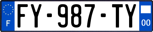 FY-987-TY