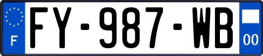 FY-987-WB
