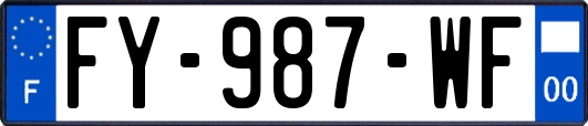 FY-987-WF