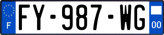 FY-987-WG