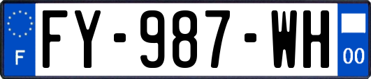 FY-987-WH