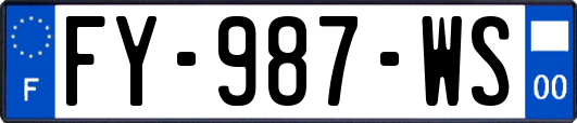 FY-987-WS