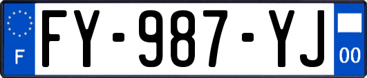FY-987-YJ