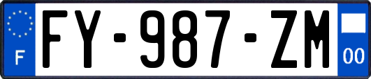 FY-987-ZM