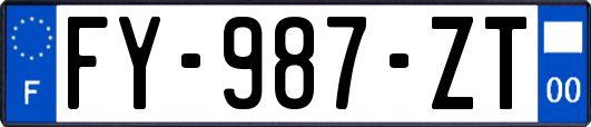 FY-987-ZT