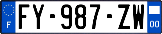 FY-987-ZW
