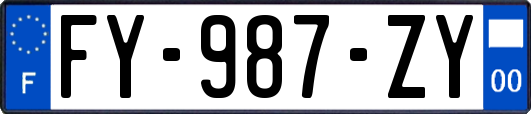 FY-987-ZY