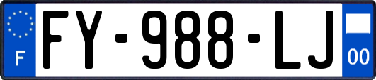 FY-988-LJ