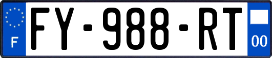 FY-988-RT
