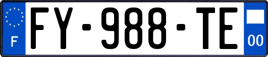 FY-988-TE