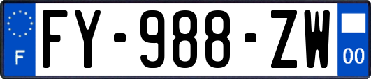 FY-988-ZW